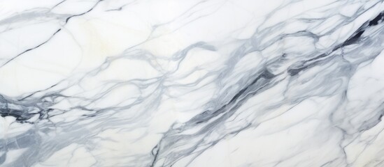 Detailed close-up shot showcasing the intricate patterns and textures of white marble. The veins and unique markings in the marble are clearly visible in this high-resolution image.