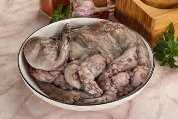 Raw cold octopus for cooking