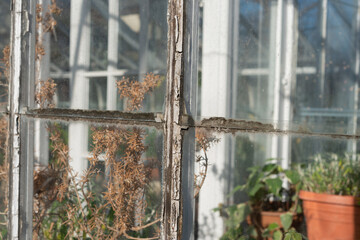 abstract forms or greenhouse frame and windows