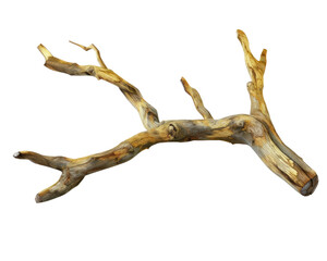 Dry old branch isolated on transparent background