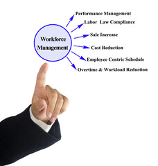 Six Functions of Workforce Management