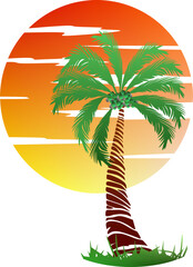 Palm tree illustration. a tropical island with palms. Nature logo icon