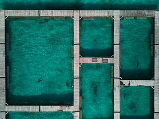 aerial top view at dolphin pool structure of ocean adventure park of Punta Cana in Dominican Republic