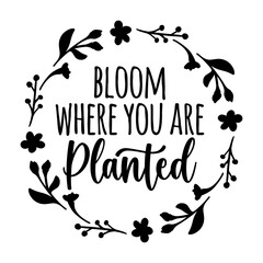 Bloom Where You Are Planted