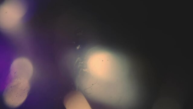Colorful light leak, lens flare bogeh on dark background. Spectrum, rainbow colors. Motion graphic