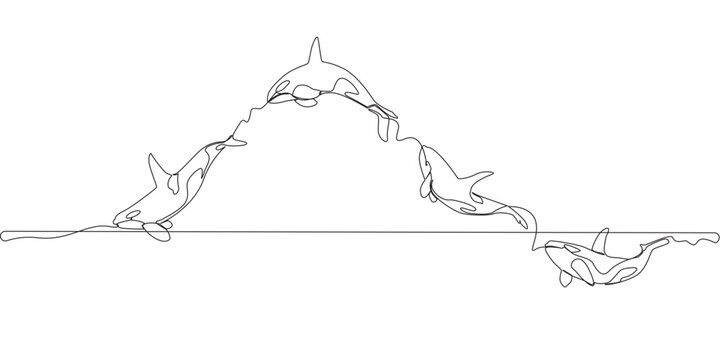 
line art of killer whale jumping in the open sea vector eps