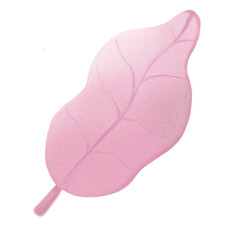 Pink leaf. Watercolor botanical illustration, isolated on white background. Watercolor painting on white background	

