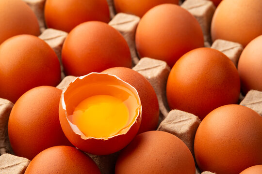 Close up fresh raw open egg on egg tray background