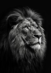 majestic looking male lion photo. In greyscale. High contrast, generated with AI