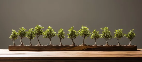 Schilderijen op glas Several small trees are neatly arranged in a row on top of a wooden table, creating a simple and tidy display of nature indoors. © Vusal
