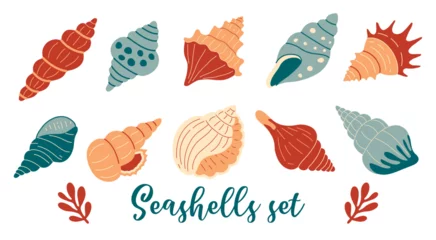 Deurstickers Seashells, mollusks spiral shells set, aquarium or underwater wildlife. Flat style © Liliia