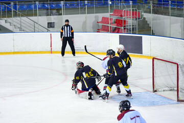 hockey goalkeeper catches the puck