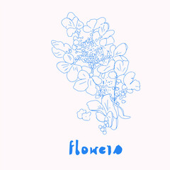Rose flower vector illustration. Poster design. Floral clipart - 754400053