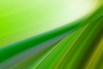 Abstract gradient motion Blurred colored background. Smooth transitions of iridescent green and yellow colors. Colorful Rainbow backdrop Smooth Texture Graphic wallpaper