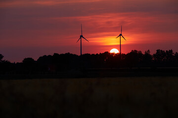 kreis soest, kreis soest in bildern, landkreis soest, nrw, deutschland, naturfotografie,...