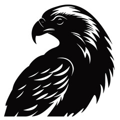 Eagle Silhouette