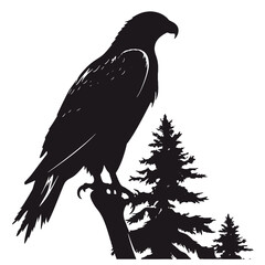 Eagle Silhouette