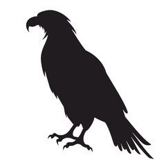 Eagle Silhouette