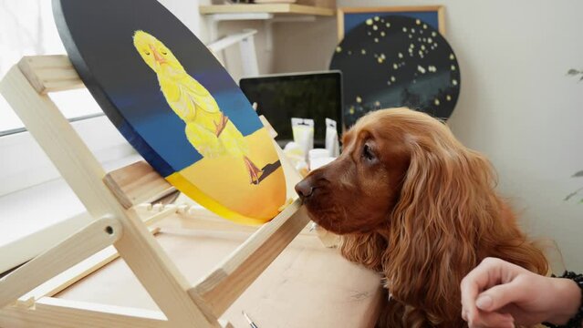 Artist creating artwork in art studio. Brown dog interested in process. Modern artwork paint yellow chicken on canvas in studio. Spaniel helping artist. Artist paints with acrylic paint. 4K, UHD