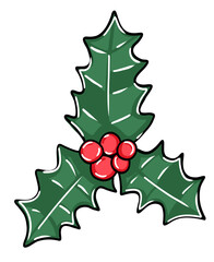 Christmas holly berry in hand drawn style