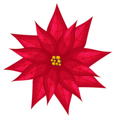 Christmas red poinsettia flower. Vctor illustration