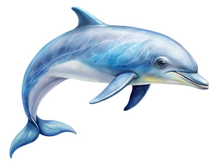 Fototapeta premium Dolphin on transparent