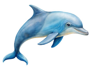 Fototapeta premium Dolphin on transparent