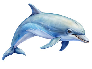 Fototapeta premium Dolphin on transparent