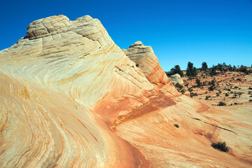 Colorful sandstone formations of the White Domes in the Canaan Mountains and clear blue sky near...