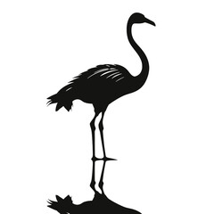 Flamingo vector silhouette illustration on a white background