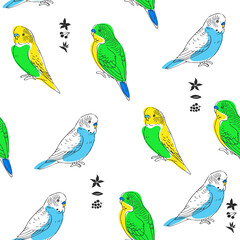 Vector seamless pattern with budgies isolated on white. Hand-drawn endless texture with parrots in  sketch style.