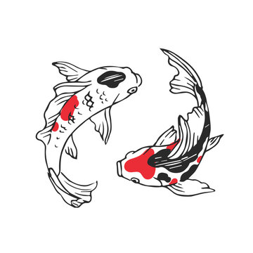 Vector hand-drawn illustration with Koi fish isolated on a white background. A black and white sketch of the yin and yang symbol.