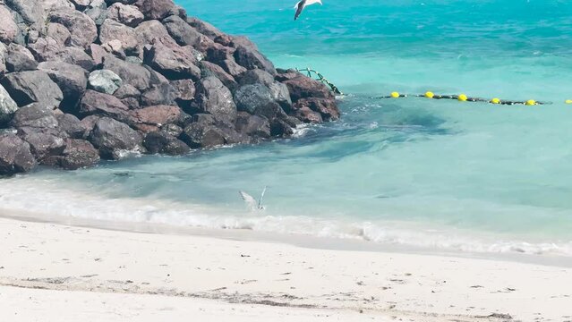 02 18 2024 - Ocean Cay, Bahamas - A view of the beach from MSC Cruise Lines' private island Ocean Cay, Bahamas