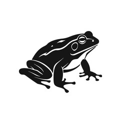 frog silhouette vector illustration