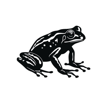 Vector Silhouette of Frog, Cute Frog Graphic for Amphibian and Nature Themes