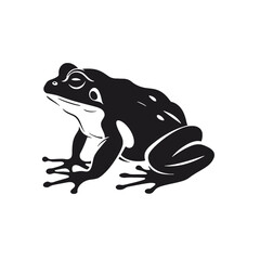 Vector Silhouette of Frog, Cute Frog Graphic for Amphibian and Nature Themes