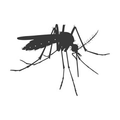 Silhouette mosquito animal black color only full body