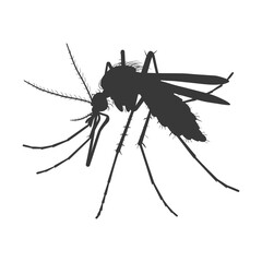 Silhouette mosquito animal black color only full body