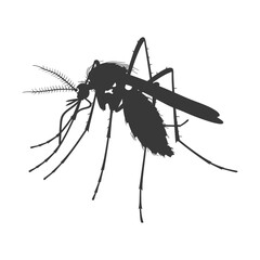 Silhouette mosquito animal black color only full body