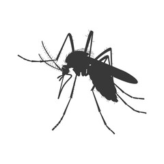 Silhouette mosquito animal black color only full body