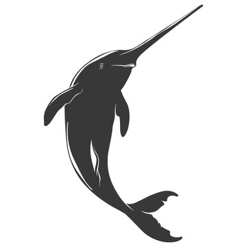 recommend clip art: Silhouette narwhal animal black color only full body