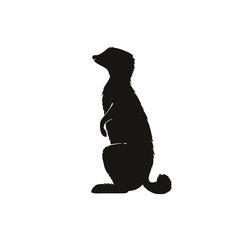 meerkat silhouette illustration