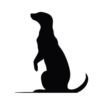 meerkat silhouette illustration