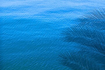 palm shadow on tropical background. blue water in sunlight with palm shadow at summer  