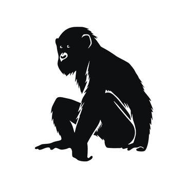 monkey silhouette vector design template