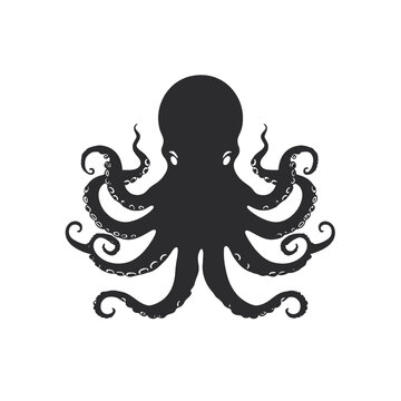 octopus  Silhouette 