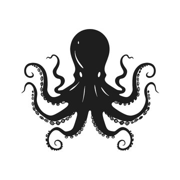 octopus  Silhouette 
