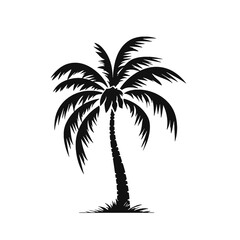 palm trees silhouettes