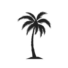 palm trees silhouettes