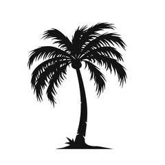 palm trees silhouettes